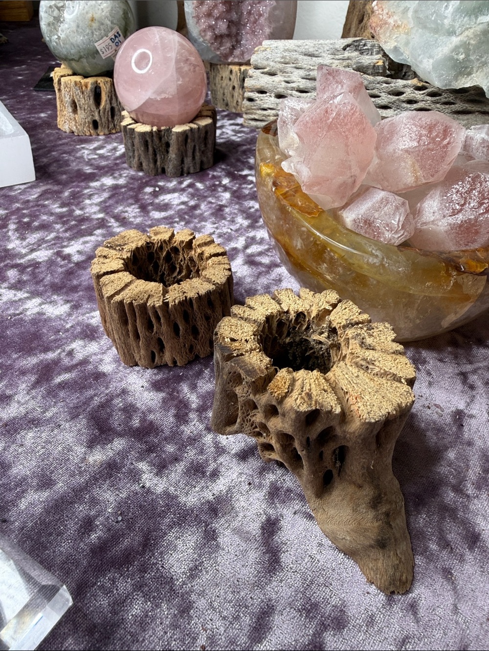 Natural Cholla Wood Tea Light Holders - Rustic Brown Home Accent